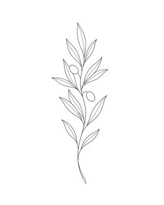 Version 2 : encrage de la branche