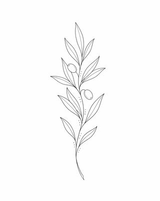 Version 3, retenue : la branche finale, avec des pointillés
